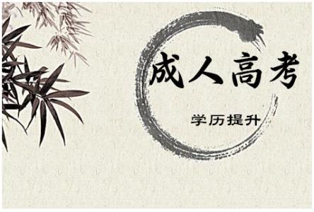 滨州成人高考考点